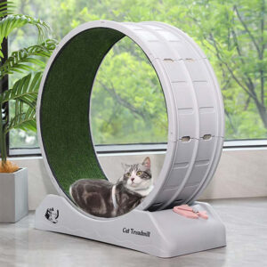 Rueda de Ejercicio Silenciosa para Gatos | Rascador Circular de Madera Premium | Cinta de Correr para Mascotas con Alfombra de Sisal Reemplazable | Gimnasio Interactivo para Gatos de Interior
